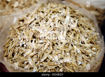 Dried Fish at a Stall in the Mercardo Merced (Market), Mexico City. Stock Photo