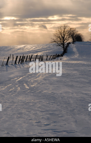 picturesque winter scenery Stock Photo