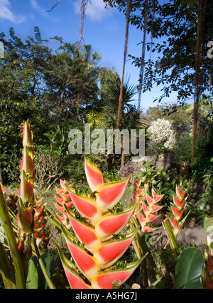 The Andromeda Gardens in Barbados Stock Photo