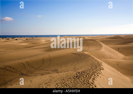 Maspalomas sweeping sand dunes in Gran Canaria Canary Islands Stock Photo