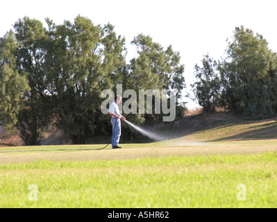 Man watering big grass lawn with water hose Stock Photo
