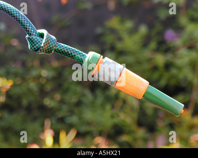 Water hose in garden with knot Stock Photo - Alamy