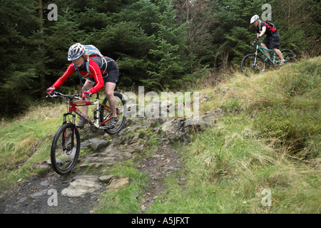 Female Mountain Bikers, Kirroughtree, Scotland. UK Stock Photo