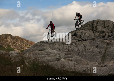 Female Mountain Bikers in Kirroughtree,  Scotland, UK Stock Photo