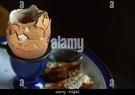 Still life of three stacked egg shells Stock Photo