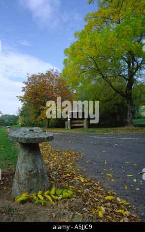 Upcerne village in Autumn Dorset county England UK Stock Photo