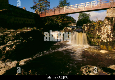 Linton Falls on the River Wharfe, Wharfedale, Yorkshire Dales National Park, North Yorkshire, England, UK. Stock Photo