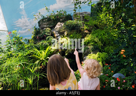 Kids pointing at the Peggy Notebaert Nature Museum in Chicago Illinois Stock Photo