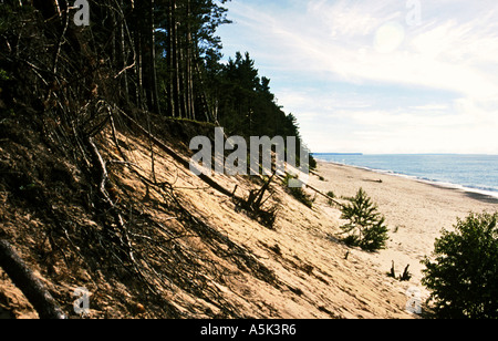 Lakefront Erosion Stock Photo