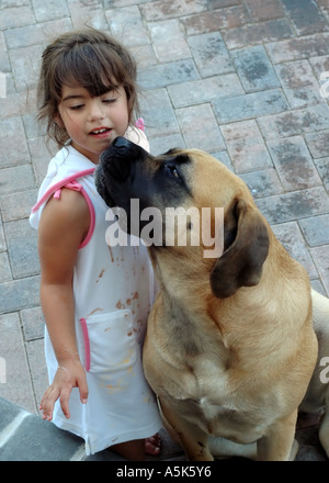 dog kissing or licking ice cream on girl s face Stock Photo