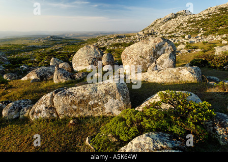 Hagghier, Haggier Mountains, Socotra island, UNESCO-World Heritage Site, Yemen Stock Photo