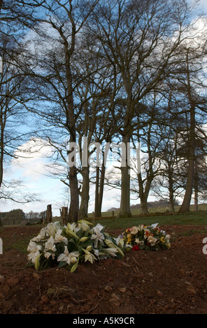 Hundy Mundy natural burial ground Stock Photo