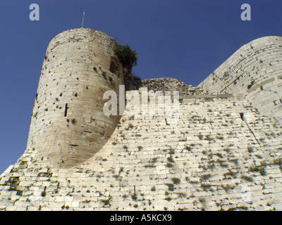 Crac des Chevaliers crusander castle in syria Stock Photo