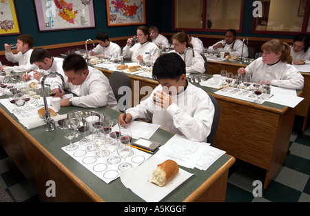 Culinary Students smell wines during a wine tasting class at Johnson and   Wales culinary university Stock Photo