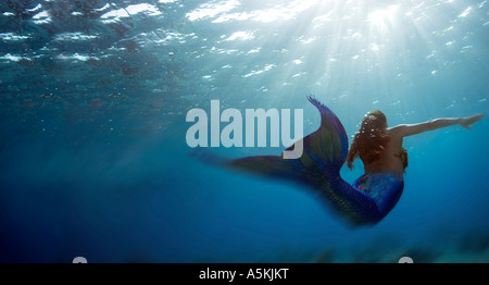 Mermaid freediving Cozumel Mexico Stock Photo