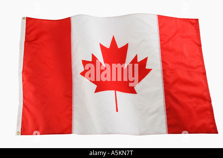 Studio shot of Canadian flag Stock Photo
