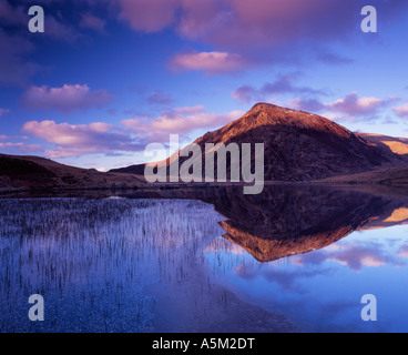 Pen yr Ole Wen reflected in Llyn Idwal Snowdonia National Park Gwynedd Wales Stock Photo