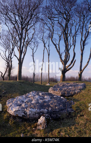 An open burial chambered cairn  on Minning low Hill  in Derbyshire 'Great Britain'