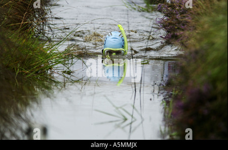 The World Bog Snorkelling Championships at the Waen Ryth peat bog in mid Wales UK Stock Photo