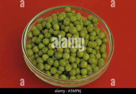 Grüne Erbsen in einer Glasschale auf rotem Untergrund green peas red background Lebensmittel Nahrungsmittel Nahrung food generi Stock Photo