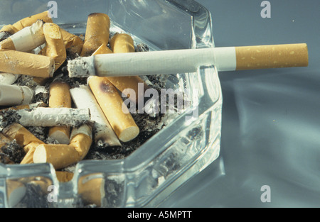Voller Aschenbecher viele Zigarettenkippen angezündete Zigarette cigarette ends ashtray Zigarette Tabakkonsum Tabakwaren Laster Stock Photo