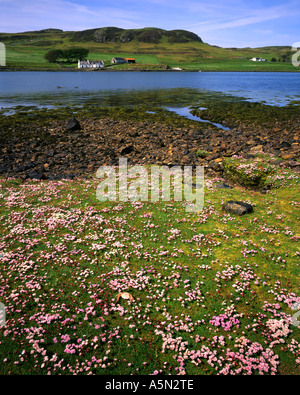 GB - SCOTLAND:  Loch Beag on the Isle of Skye Stock Photo