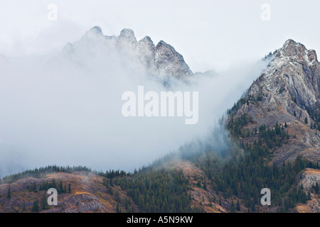 Blue Misty Mountains A blue fog envelopes tree and snow covered mountain peaks Banff National Park Banff Alberta Canada Stock Photo