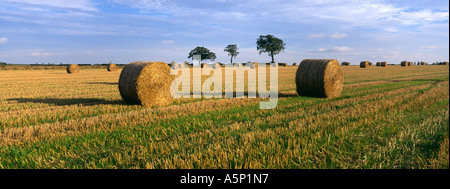 Harvest fields Cranfield Bedfordshire England Stock Photo