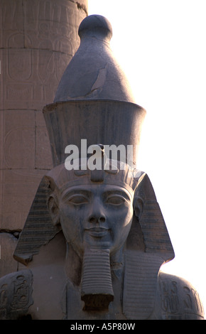 STATUE OF RAMESES II IN LUXOR TEMPLE Stock Photo - Alamy