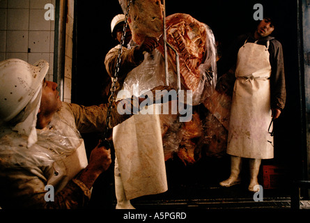 HALF SIDES OF BEEF ARE TAKEN FROM THE SLAUGHTER HOUSE TO INDIVIDUAL BUTCHER SHOPS in BUENOS AIRES ARGENTINA Stock Photo