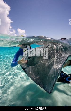 A TEENAGE GIRL GENTLY PETS A SOUTHERN STINGRAY DASYATIS AMERICANA AT STINGRAY CITY GRAND CAYMAN Stock Photo