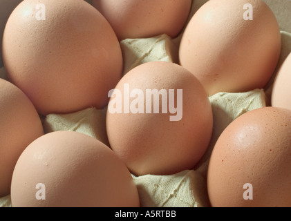 Brown eggs in egg carton Stock Photo