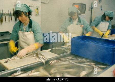 SCOTTISH FISHING VILLAGE FEMALE FISHMONGERS GUT FISHES IN A FISH FACTORY Stock Photo