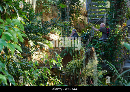 Germany Hannover Interior Of Greenhouse Stock Photo 61153552