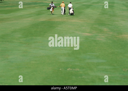 Golfers walking across golf course, rear view Stock Photo