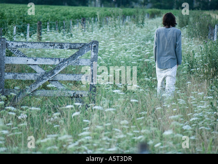 Man walking in field, passing wooden gate, rear view Stock Photo