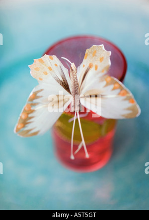 a decoration with fake colored butterflies on a transparent background  Stock Photo - Alamy