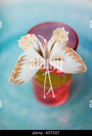 a decoration with fake colored butterflies on a transparent background Stock  Photo - Alamy