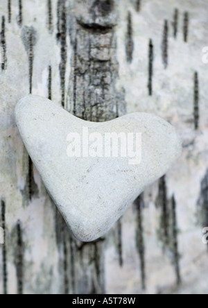 Heart-shaped stone on bark Stock Photo