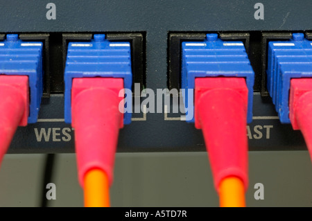 cable, cables, connestion, plug, plugs, server, computer, computer-plug, server-plug, computer-plugs, server-plugs Stock Photo