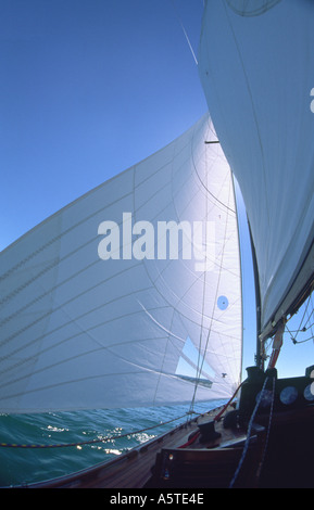 Sailing With The Wind Fisheye Picture Stock Photo