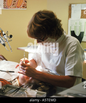 Woman dentist working on patient in dental office Stock Photo