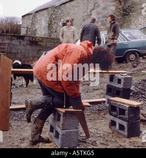 A female carpenter on a farm construction site in rural Wales UK Stock Photo