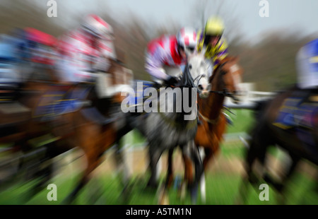 race horses, fakenham races, norfolk, england Stock Photo