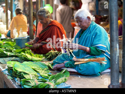 Women preparing leaves, Devaraja Fruit  and Vegetable Market ,Mysore, India. Stock Photo