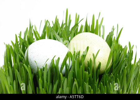 Easter Eggs in Grass Stock Photo