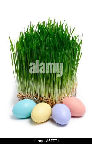 Grass and Easter Eggs Stock Photo