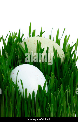Easter Eggs in Grass Stock Photo
