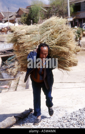 Local man wearing traditional blue jacket carrying large bundle of sticks on his back,South-West China. Stock Photo