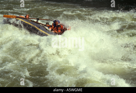 Hanging on at Rapid No 18 Zambezi River (Batoka Gorge) below Victoria Falls, Zimbabwe Zambia border, South Central Africa Stock Photo